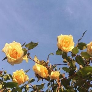 Meet your Posher, Kaitlynn